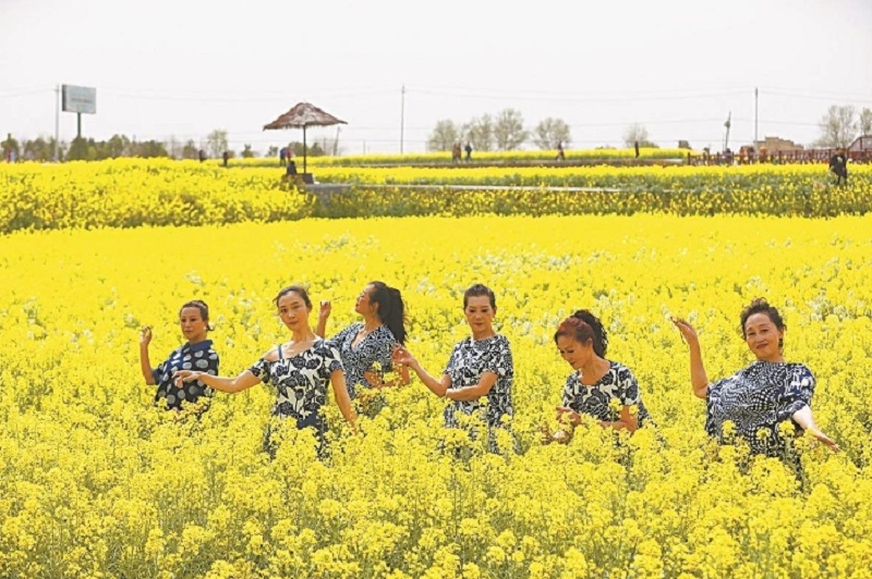 湖北省油菜花节在沙洋盛大开幕